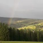 Witowianskie Z Prywatnym Jacuzzi I Kominkiem Dzianisz