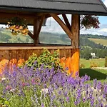 Witowianskie Z Prywatnym Jacuzzi I Kominkiem Chalet *