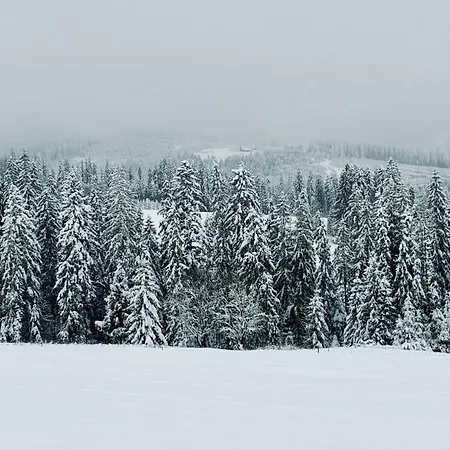 Шале Witowianskie Domki Private Jacuzzi & Mountain View Near Zakopane